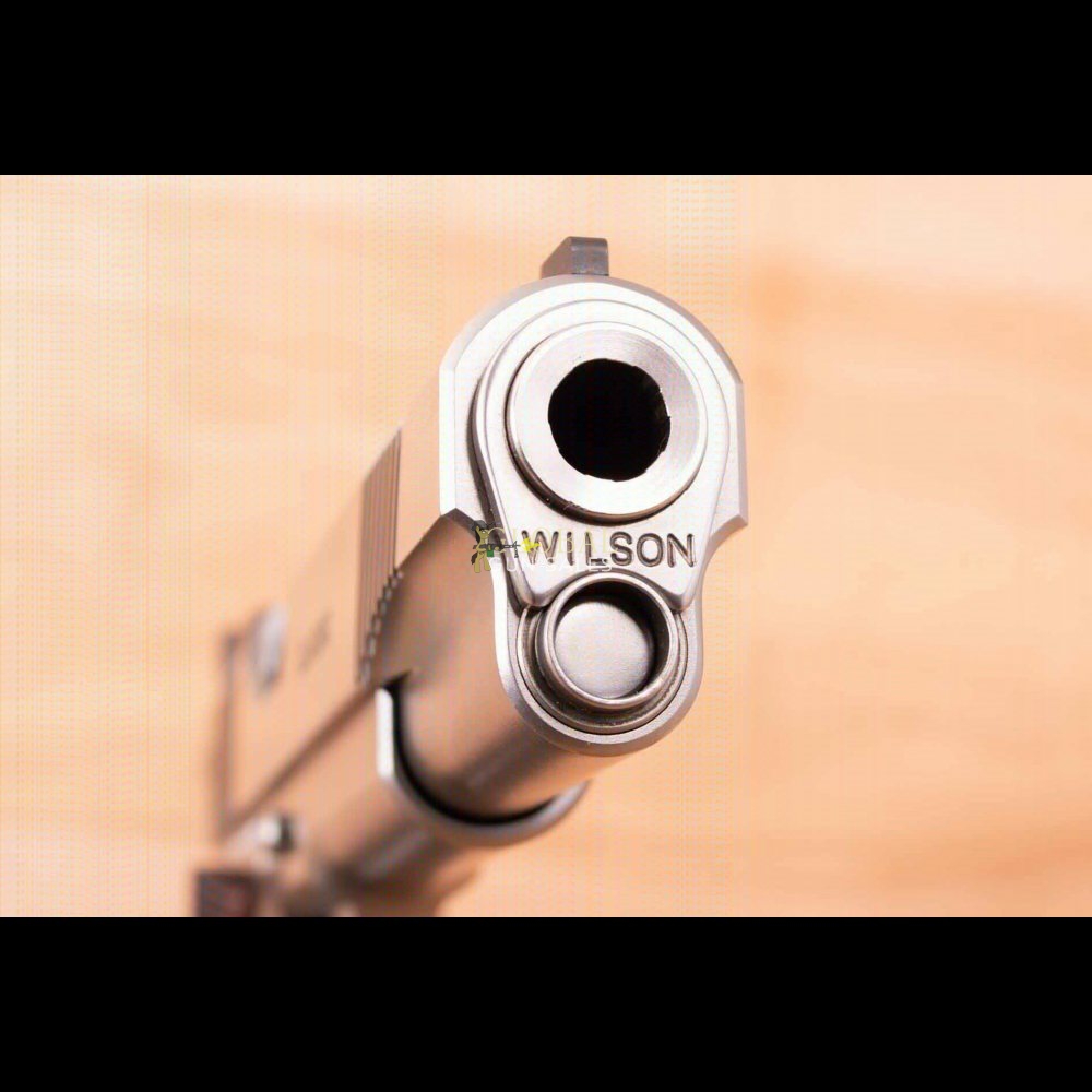 Wilson Combat 9mm â€“ CLASSIC, STAINLESS